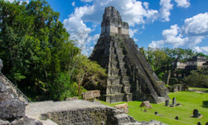 Tikal3-1024×614-640×480 (1)